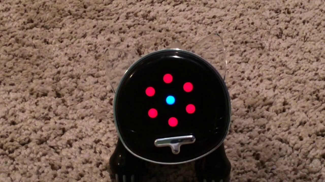 The I-Cat Test Mode Demonstration (All Riffs, Light Patterns, Whines, and More)