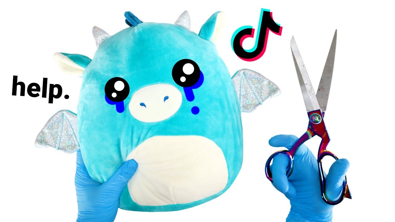 TIKTOK Made Me CUT UP My SQUISHMALLOWS! 💀