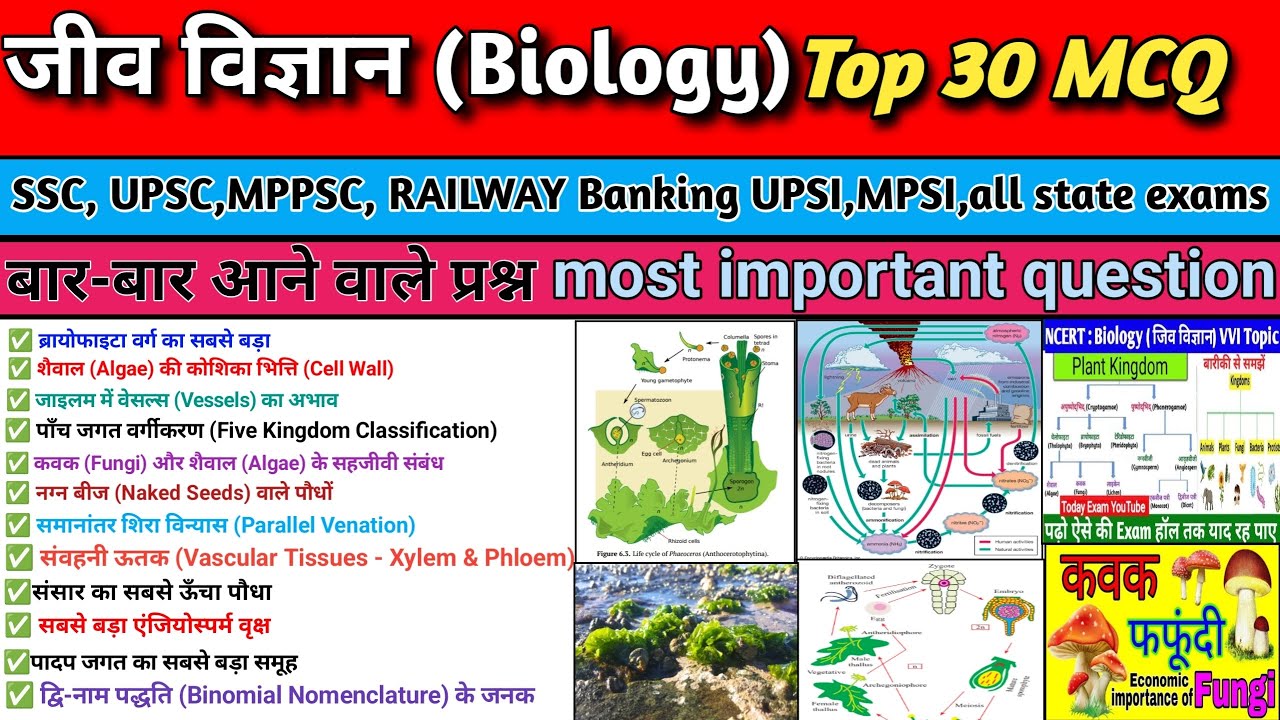 TOP 30:(पौधों का वर्गीकरण) |अति महत्वपूर्ण प्रश्न | #upsi #mppsc #uppolice Topic Wise Science GK #GS