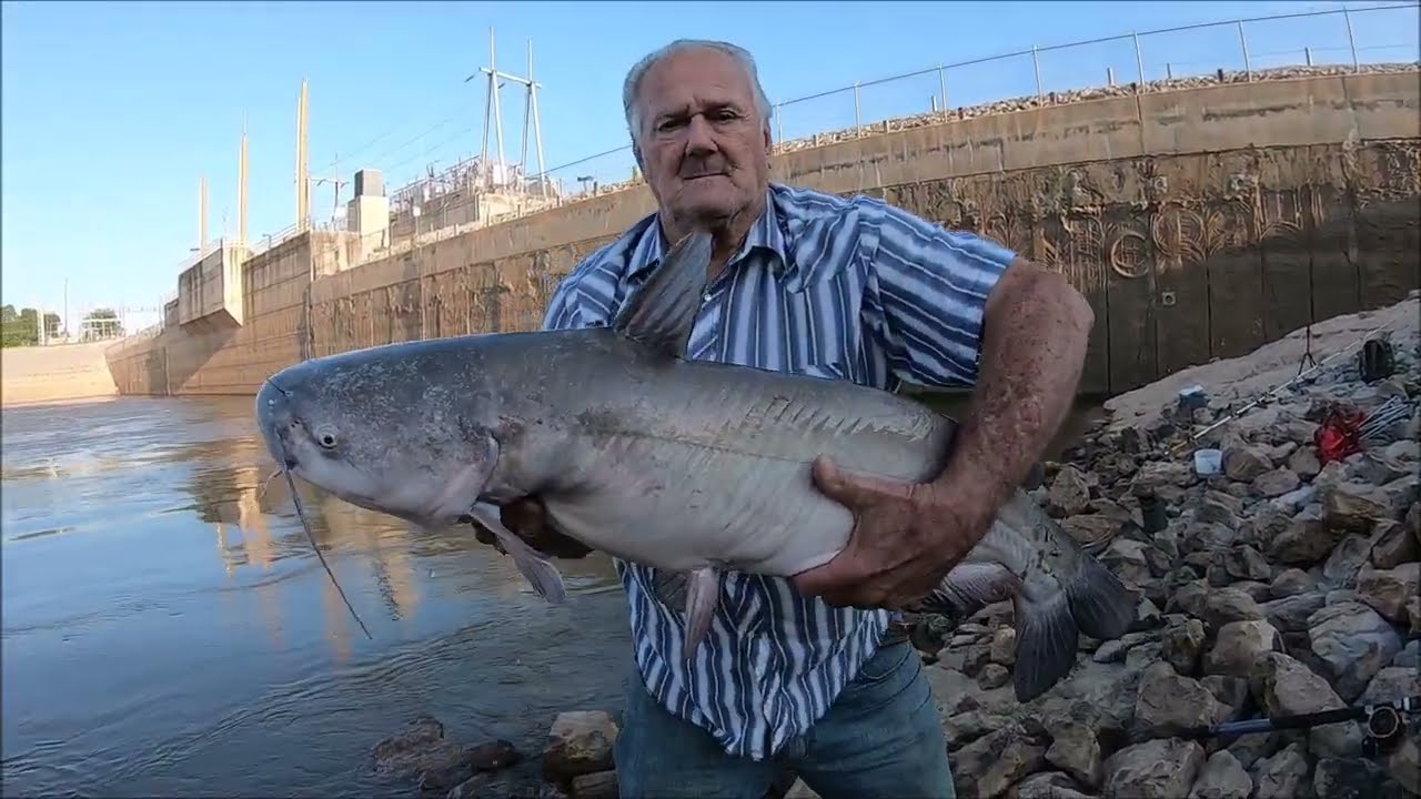 CATFISHING THE ARKANSAS RIVER DAM! CATCHING BIG BLUES BANKFISHING! #catfishing #bluecatfishing