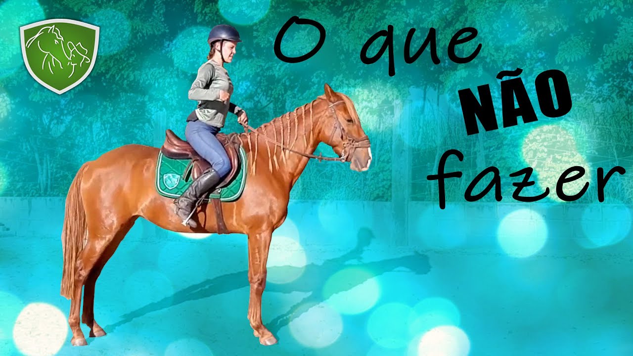 Erros comuns de quem monta cavalo