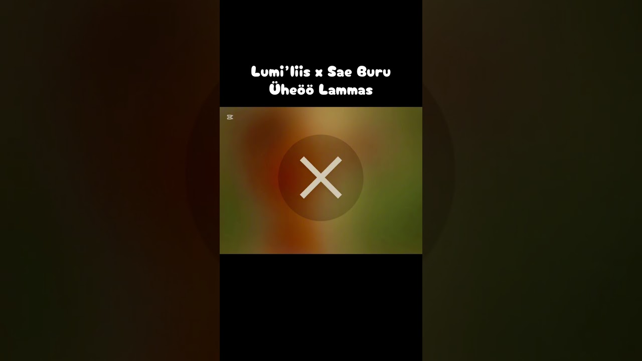 Lumi’liis x Sae Buru - Üheöö Lammas (feat. EmmSii)