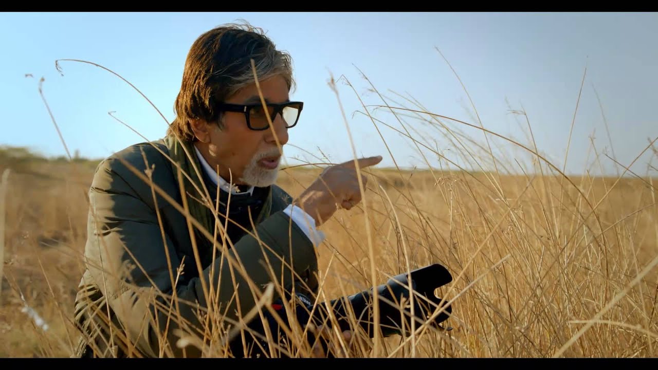 Gujarat - The Land of Migrating Birds