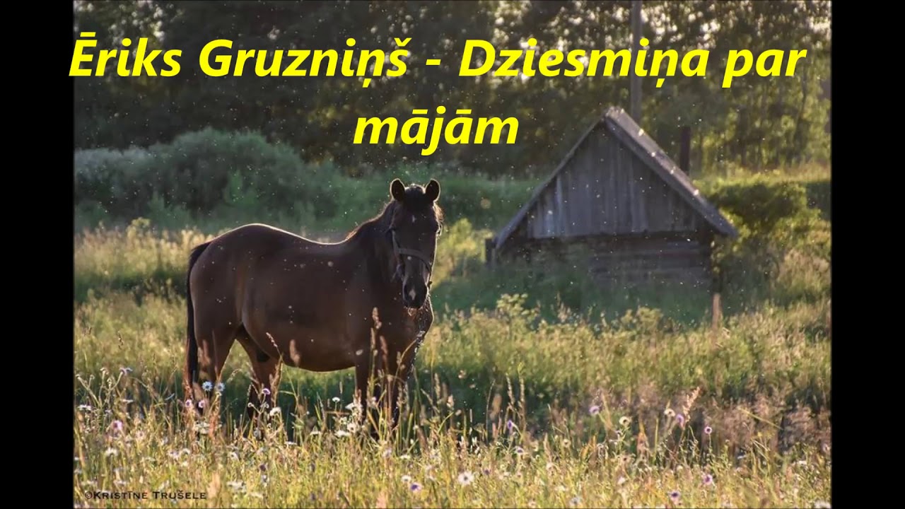Ēriks Gruzniņš - Dziesmiņa par mājām