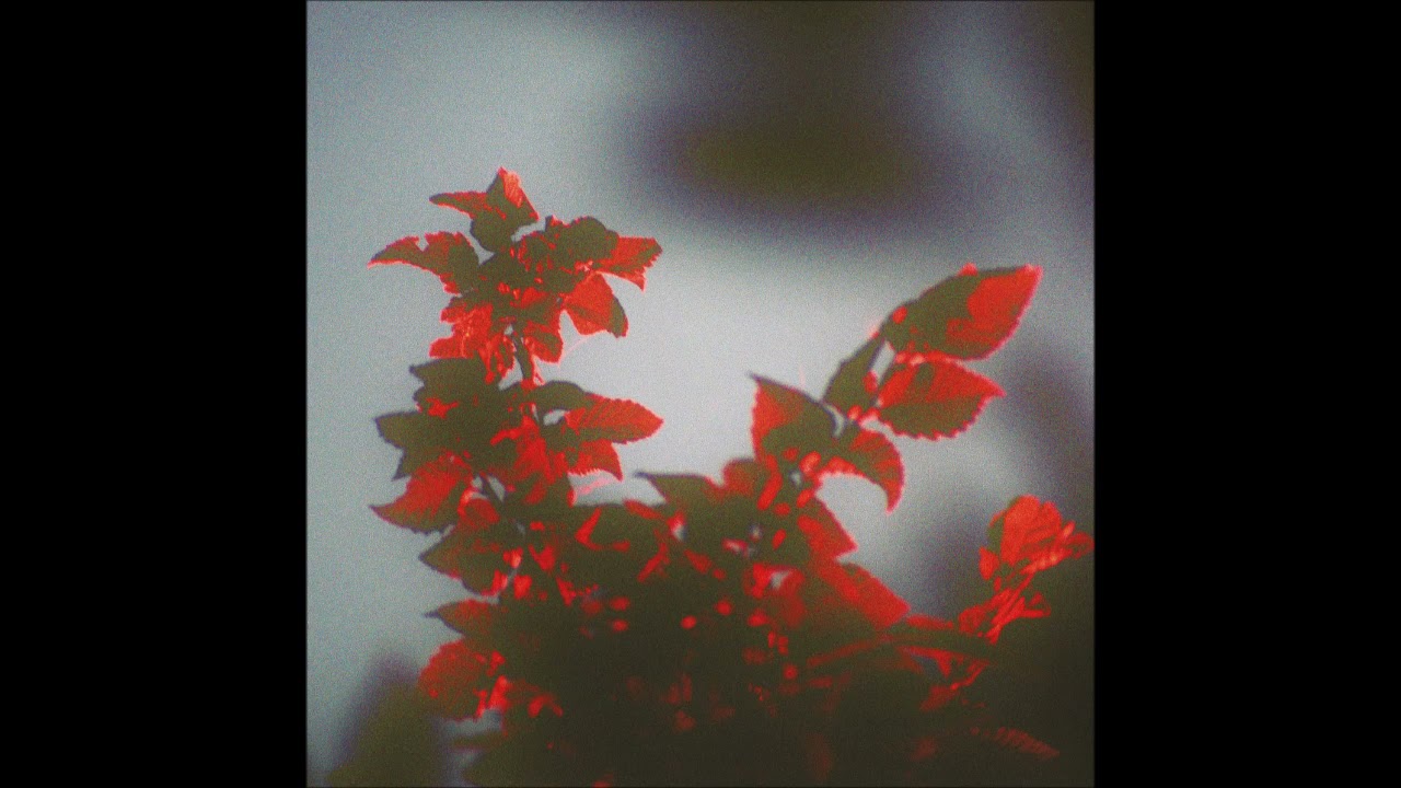 SSIEGE - Meteora
