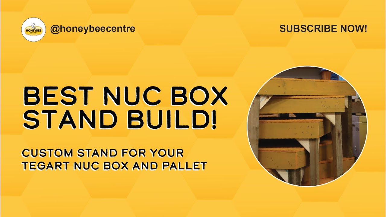 Tegart Styrofoam Nuc Box Hive Stand for Beekeepers