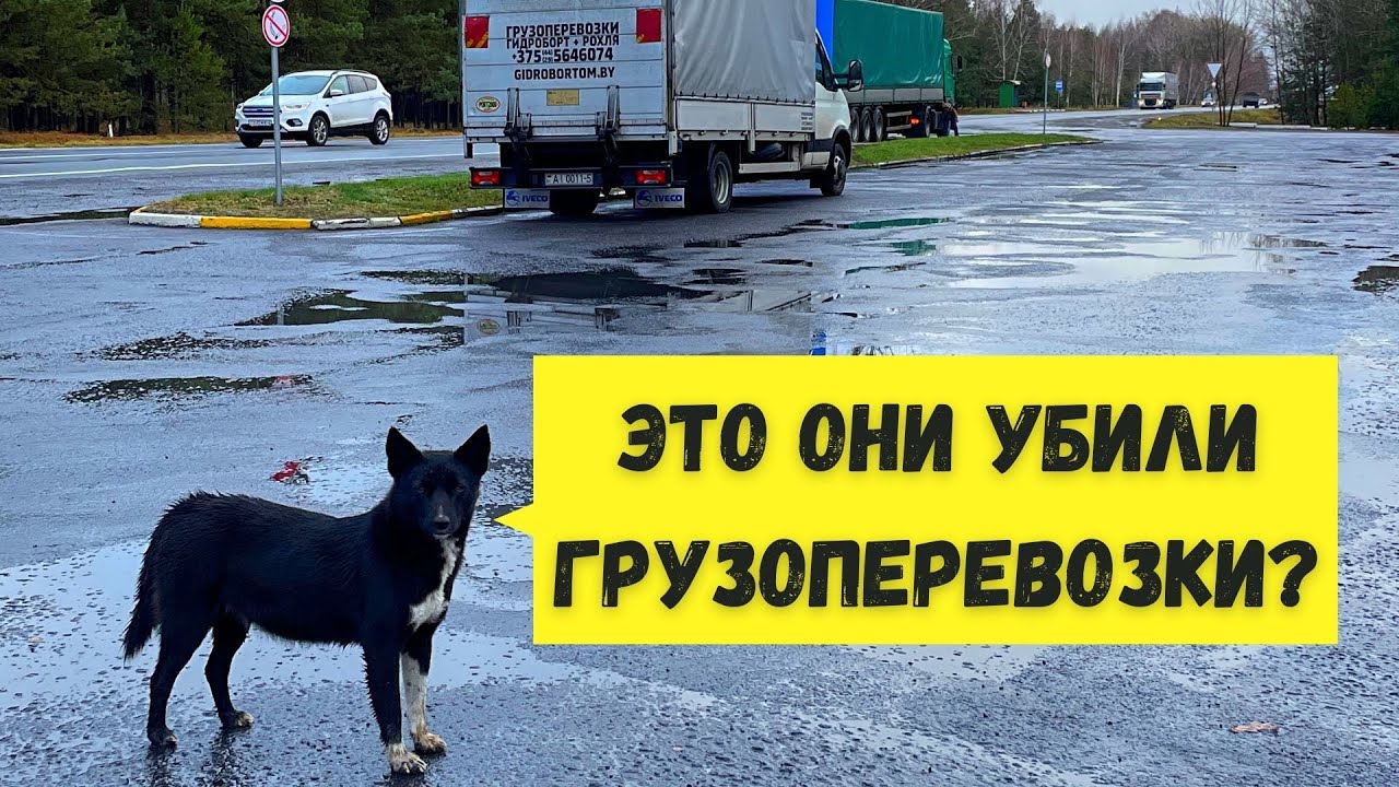 Это они убили ГРУЗОПЕРЕВОЗКИ в БЕЛАРУСИ?