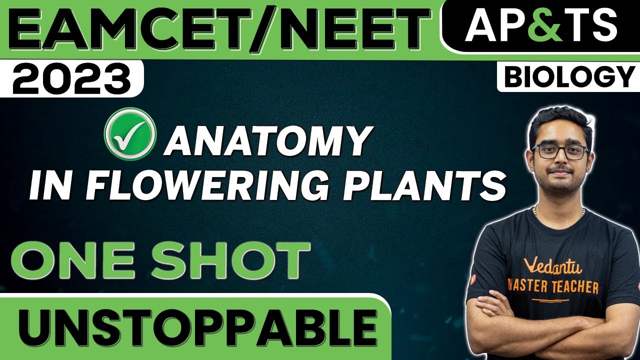 Anatomy In Flowering Plants In One Shot | Biology | NEET 2023 | EAMCET | Ajay Sir