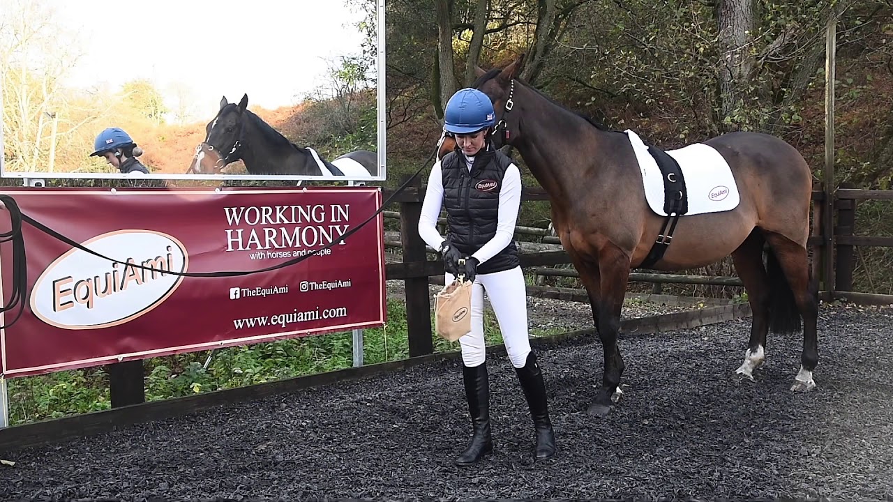 The EquiAmi Lunge Aid ~ How To Use Guide