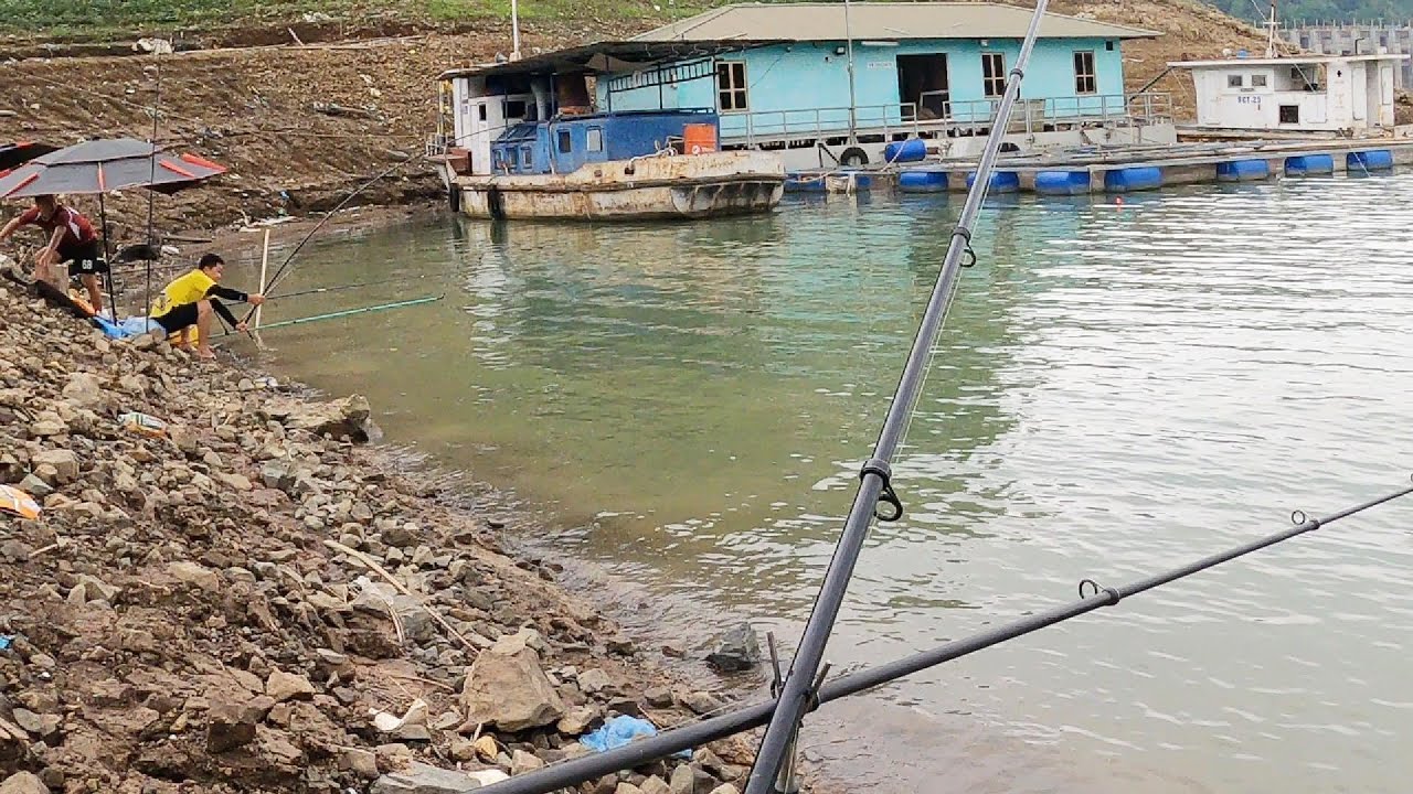 T116- Câu cá tự nhiện trên lòng Thủy điện Hòa Bình, giáp mặt cá rô phi khủng @1982fishing​