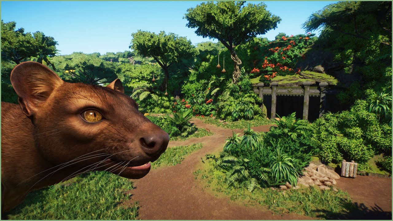 ☔️ Natural fossa habitat | Conuco Zoo | Planet Zoo | speedbuild🥑