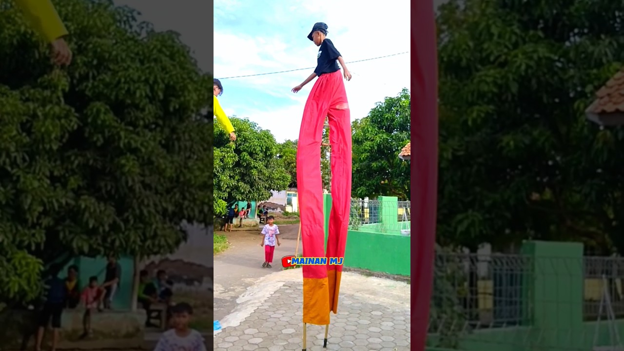 jangkungan si kaki panjang beraksi di cempaka