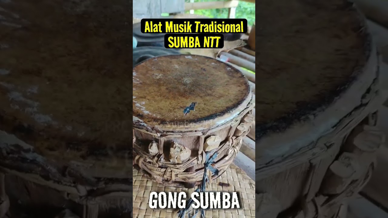 Alat musik tradisional Sumba NTT #like #koment #subscribe
