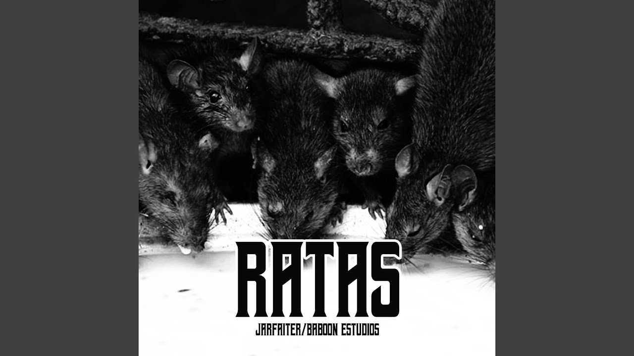 Ratas