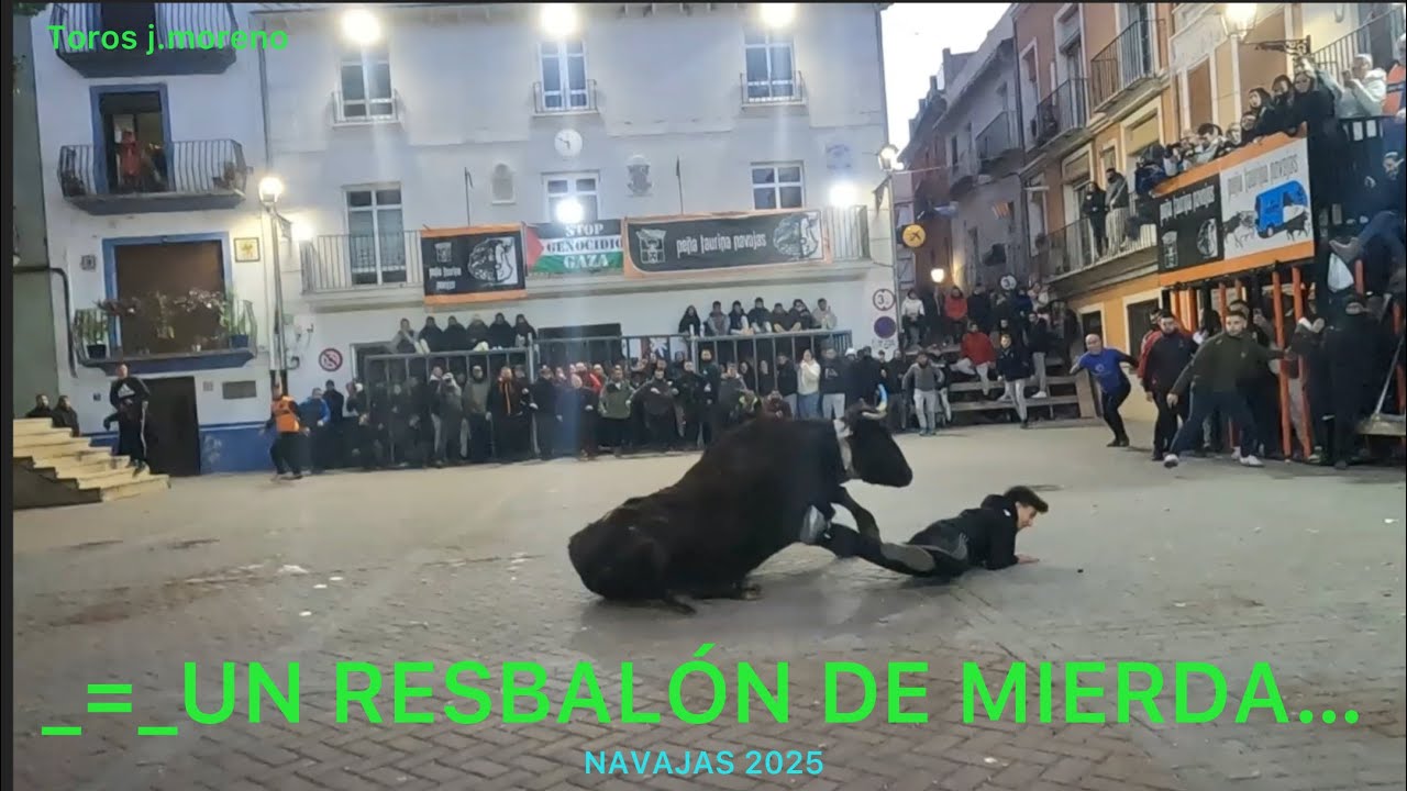 ((( BUENOS ANIMALES Y MEJORES CHAVALES )))NAVAJAS 
