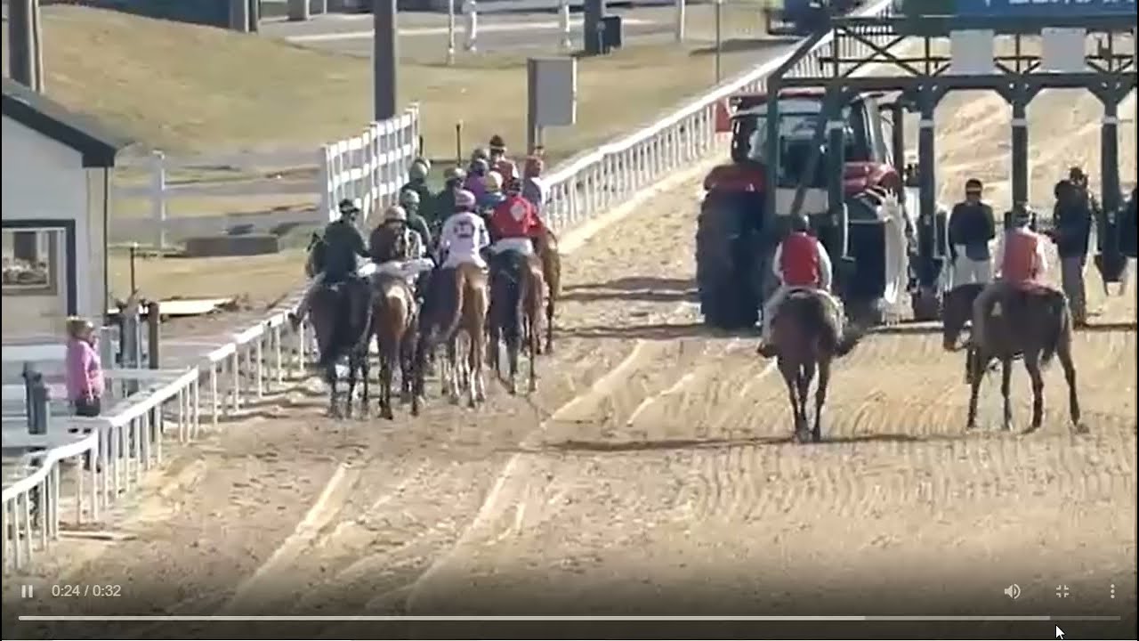 Tampa Bay Downs, Race 7- 12 FEB 2026