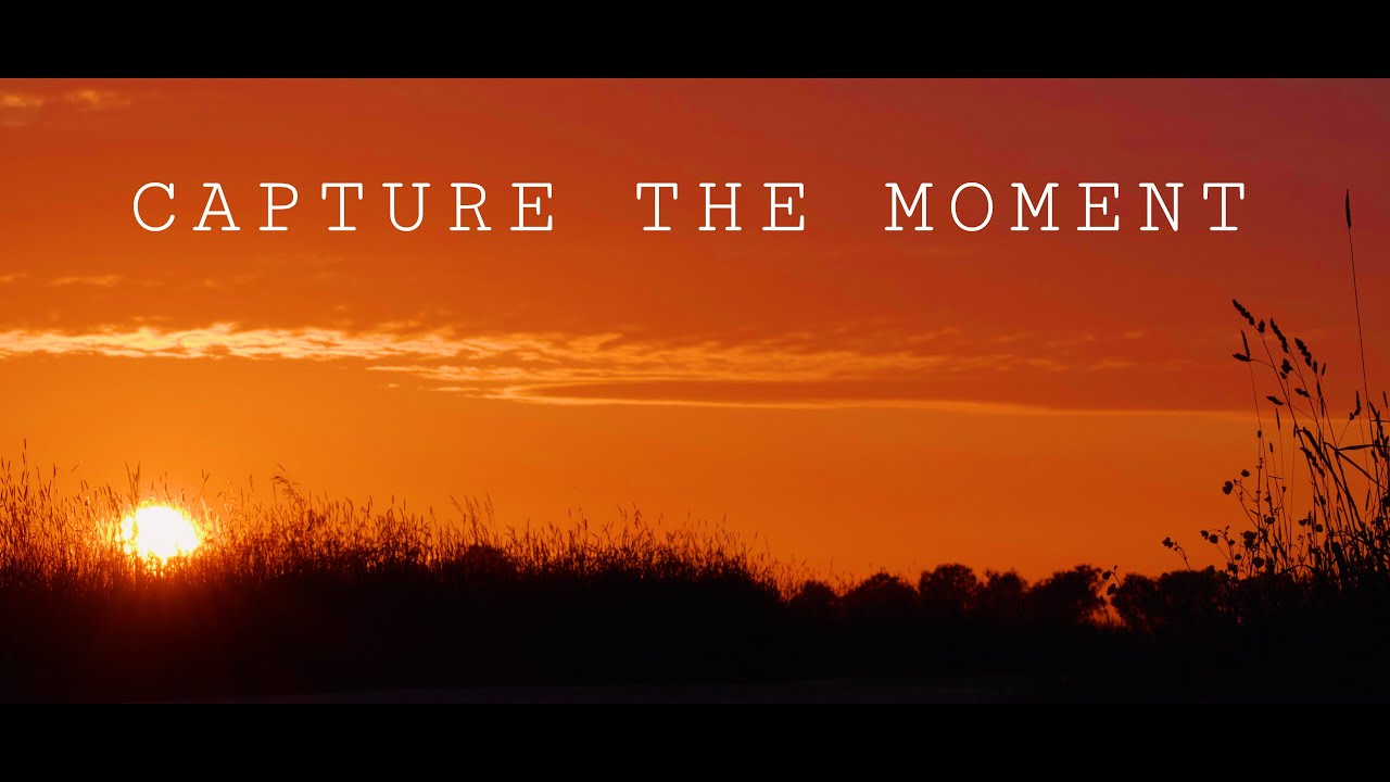 Capture the Moment Vol. ll