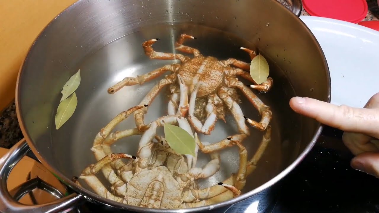 *COMO COCER,ABRIR Y  SERVIR UNA CENTOLLA*EXPLICACIÓN SENCILLA DE COMO PRESENTAR UNA CENTOLLA GALLEGA