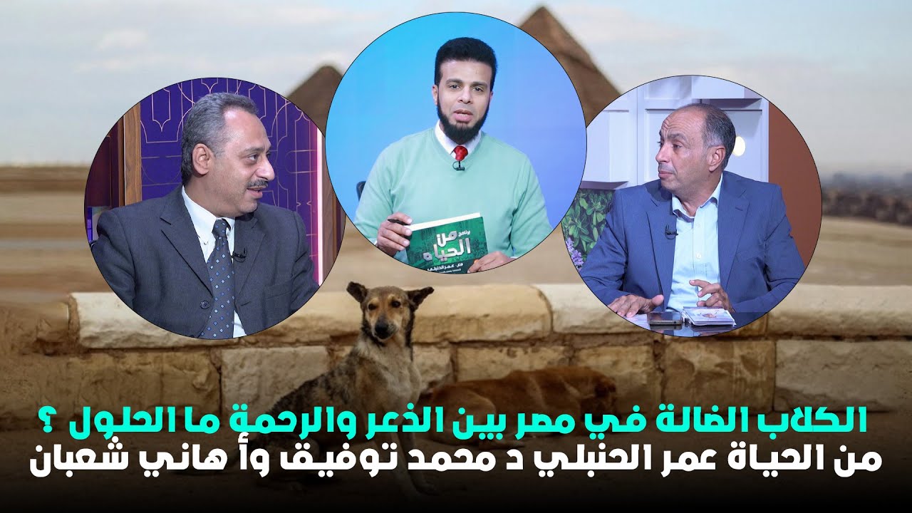 الكلاب الضالة في مصر بين الذعر والرحمة ما الحلول ؟ من الحياة عمر الحنبلي د محمد توفيق وأ هاني شعبان