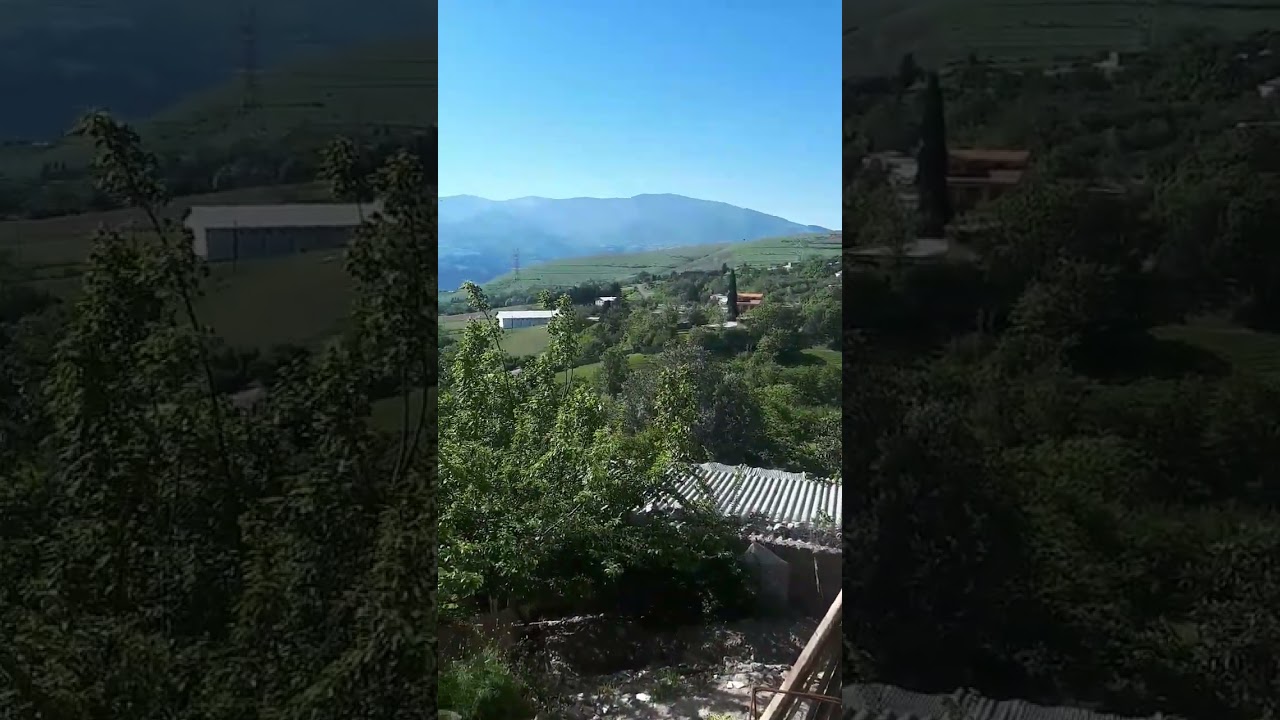 a beautiful sunny day of spring in  Asia