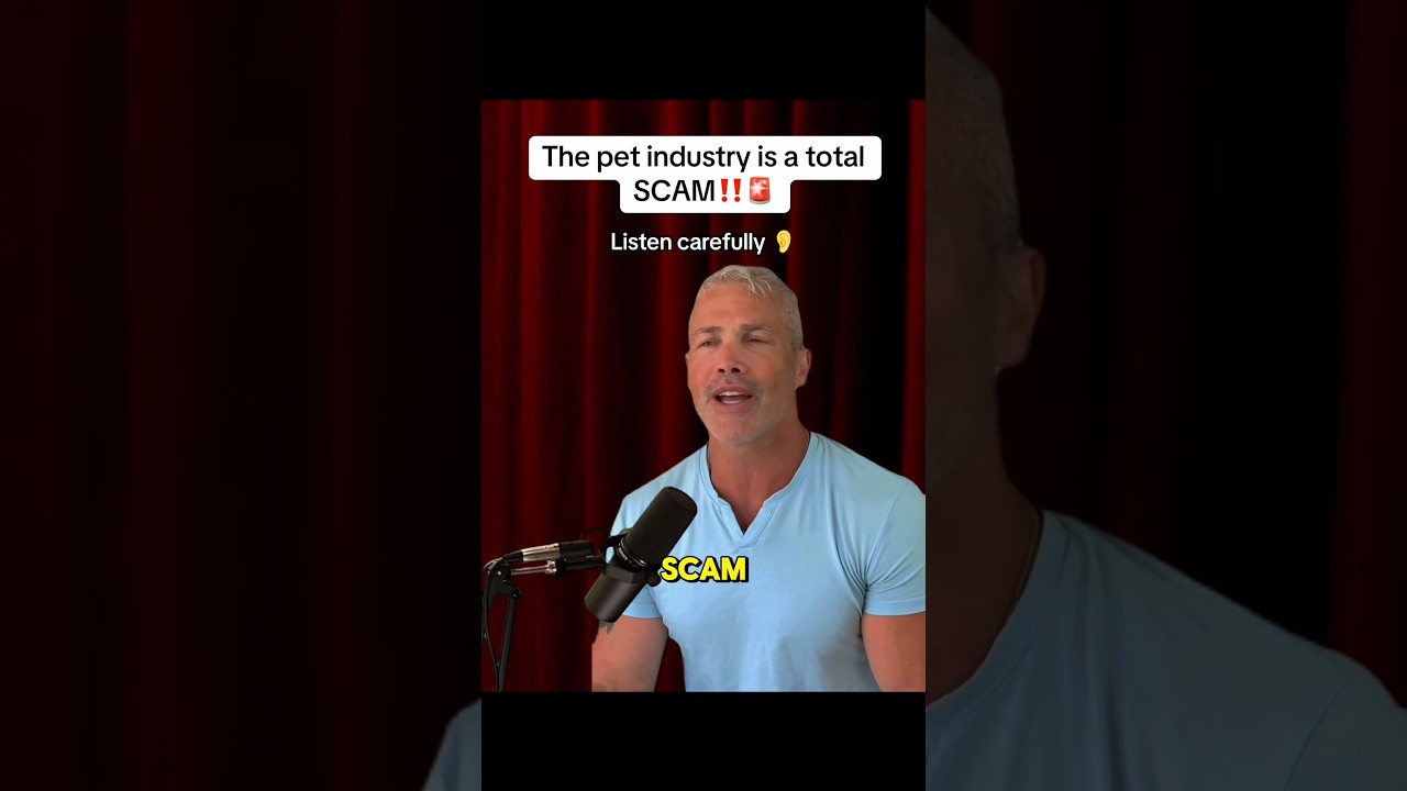 The vet industry is a total SCAM‼️🚨#industry #scam #vet #dog #pets #exposed #podcast #usa