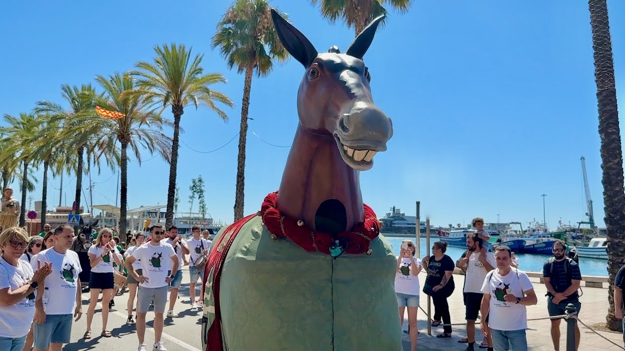 La MULASSA dels Pallaresos - XIV Trobada Gegantera del Serrallo (Festes de Sant Pere Serrallo 2023)