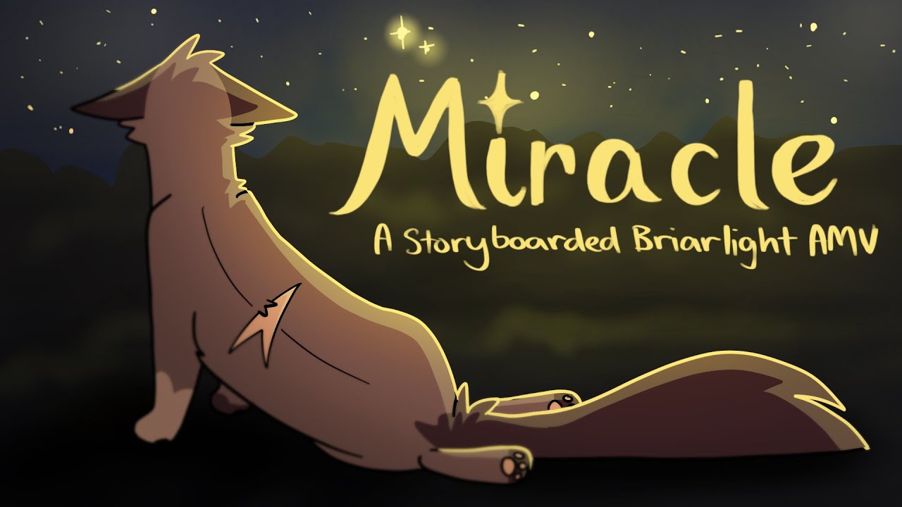 ✨Miracle✨ A Storyboarded Briarlight AMV
