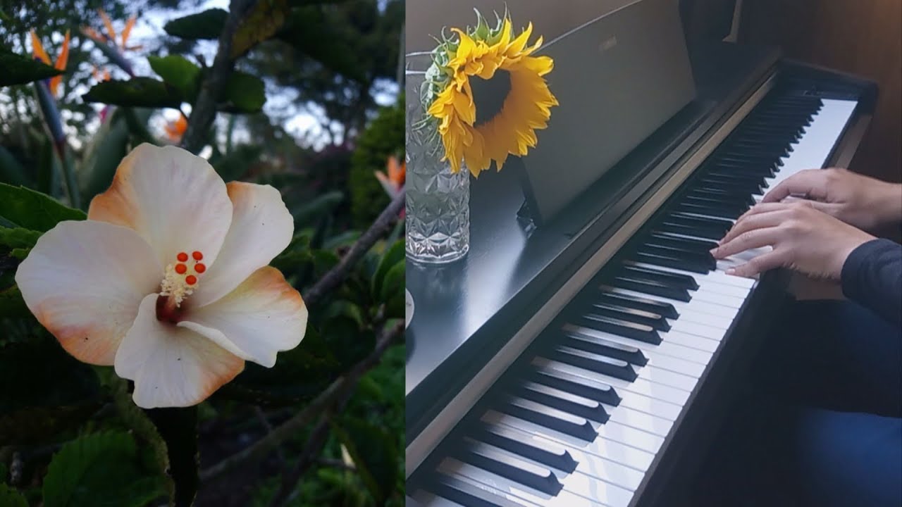 Jeanine Yeager Prelude 2