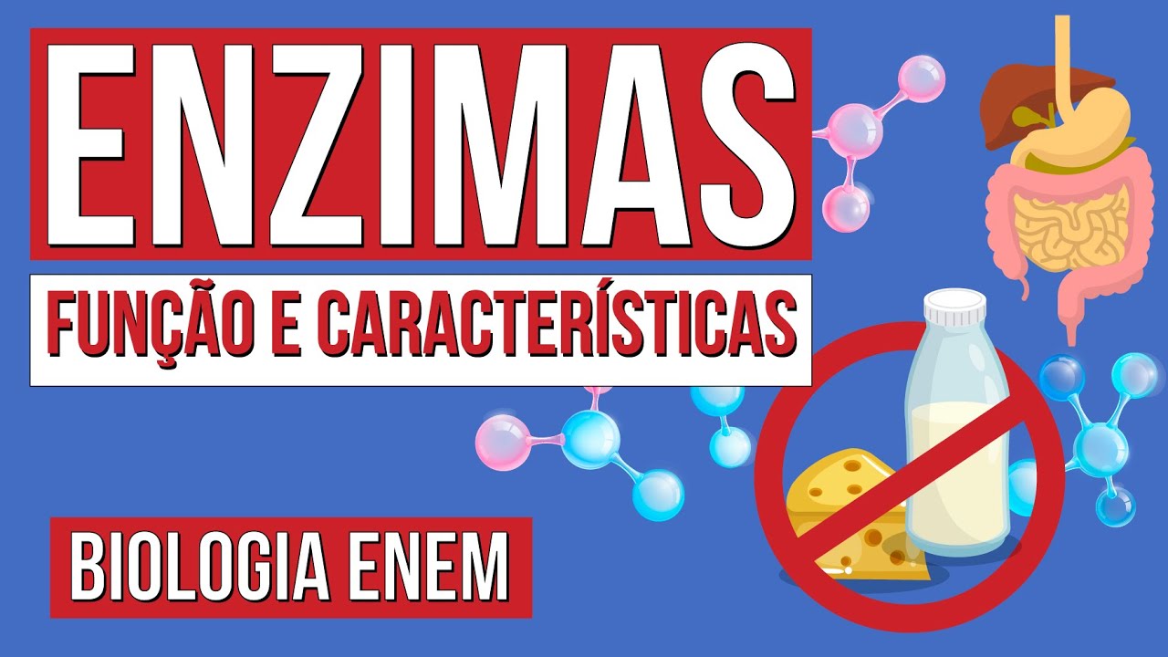 ENZIMAS: função e características | Resumo de Biologia para o Enem | Cláudia de Souza Aguiar
