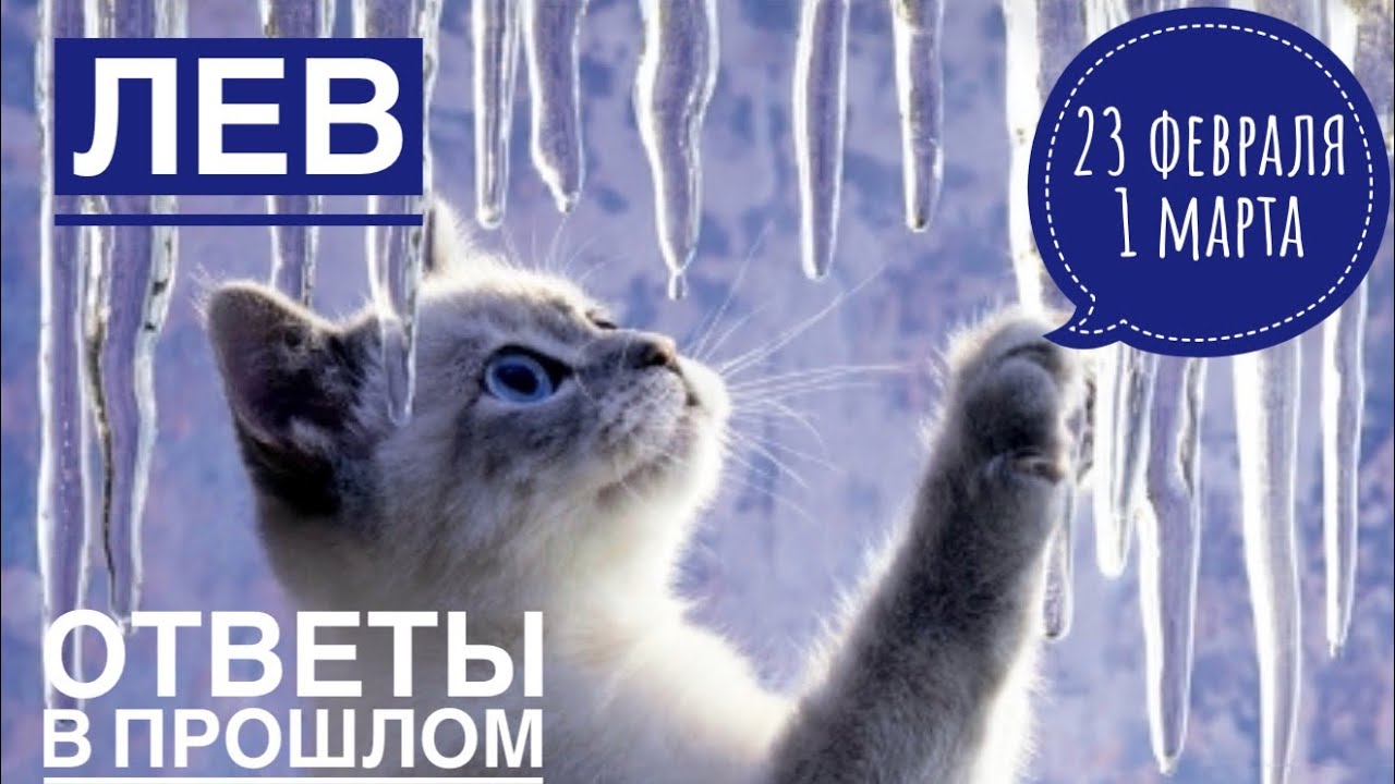 Лев ♌️ 23 февраля-1 марта 2026 🍀🔮✨🗝❤️ Таро Ленорман прогноз 