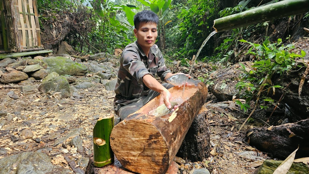Renovating the forest habitat, catching fish to improve meals.