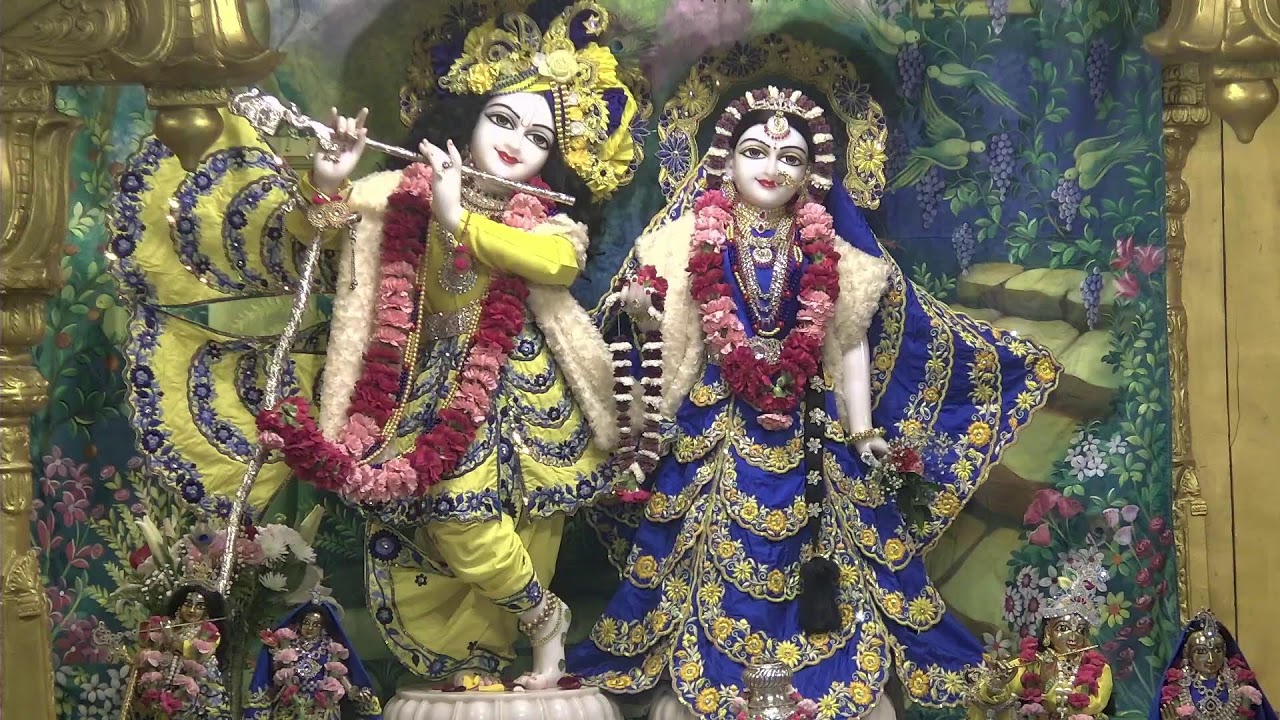 🙏🌟 Radha Gopinath Mandir Daily Live | Edison, NJ 🕉️🎶