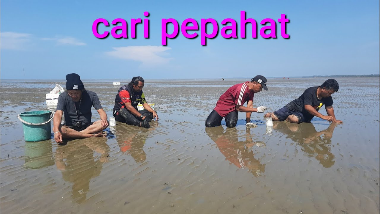 Camping Pantai Morib l Kursus Tangkap Pepahat l Jadi Nelayan Pantai #pantaimorib #pepahat