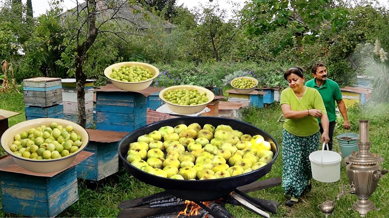 Harvesting Figs | Making Fig Jam, Dried Figs & Fig Dessert in an Azerbaijan Village LİVE