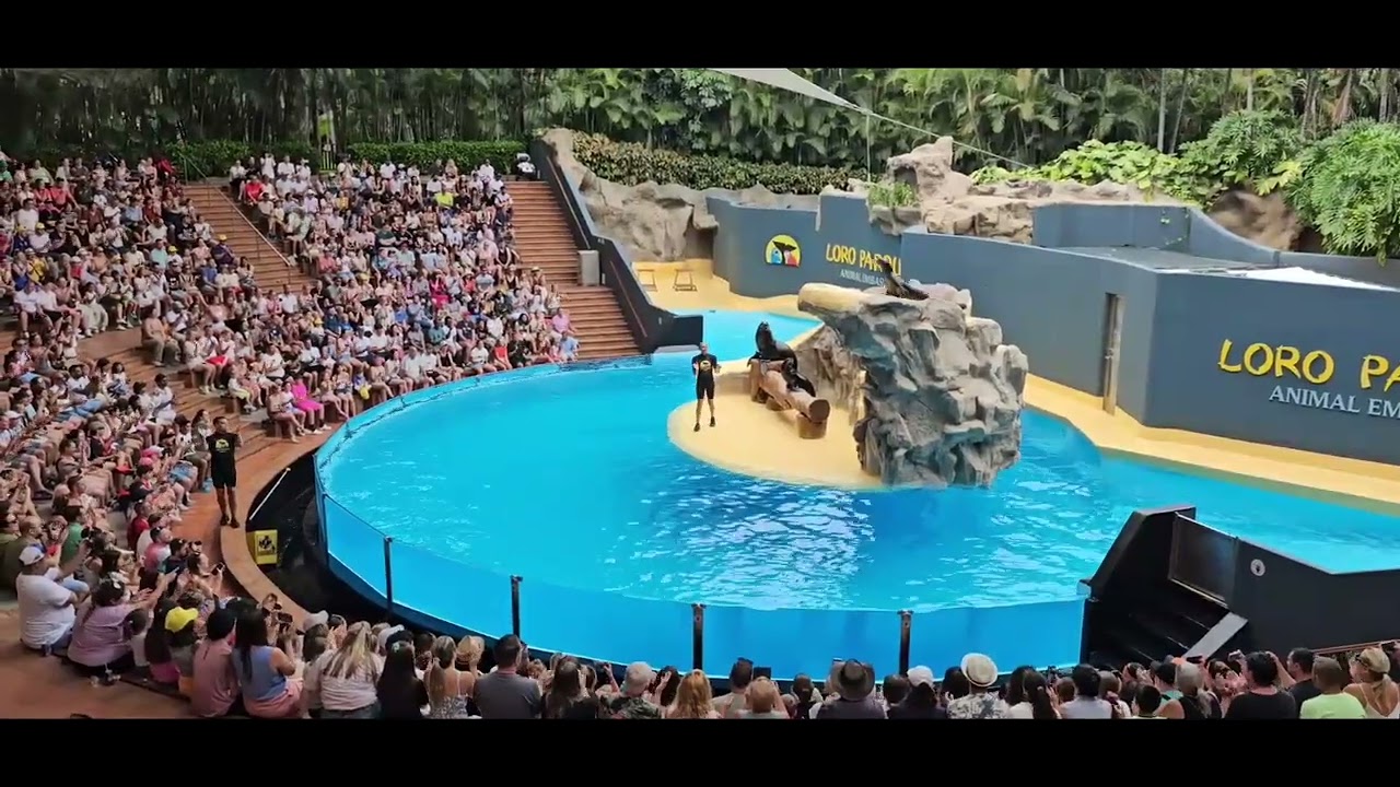 Teneriffa Loro Park 2024  -  Sollte man gesehen haben
