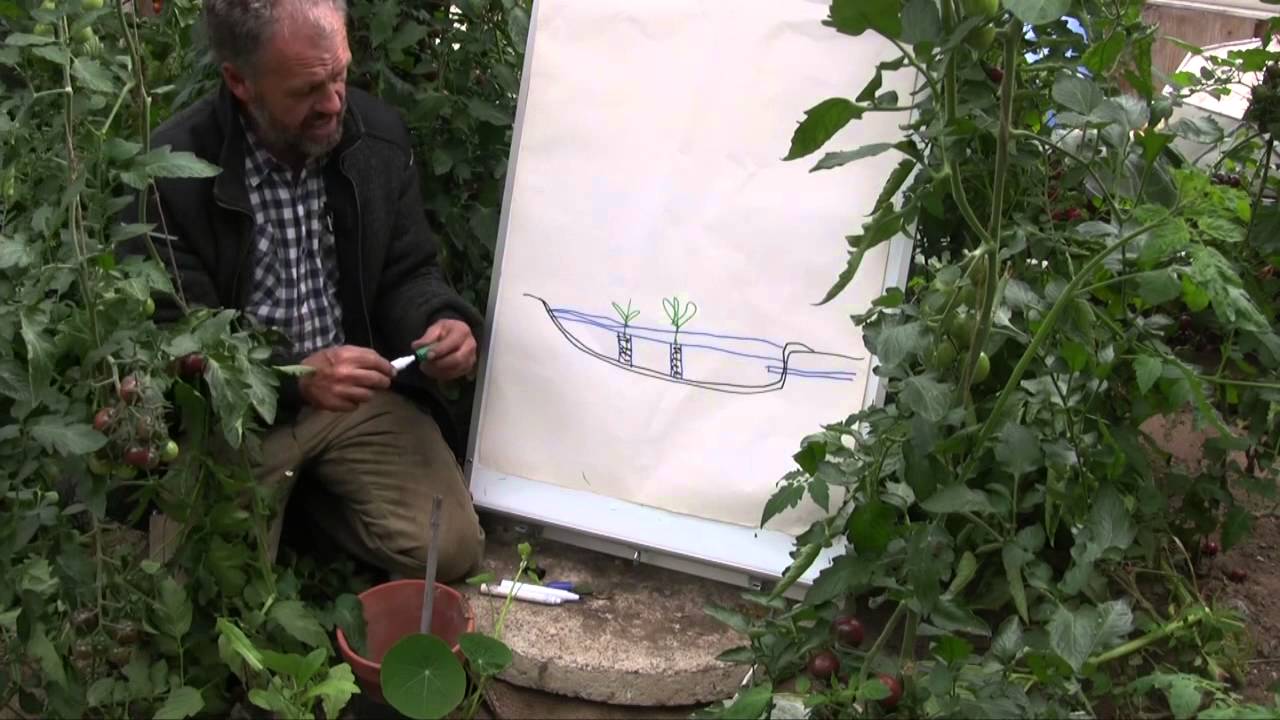 Steen Møllers Spildevand i Drivhuset
