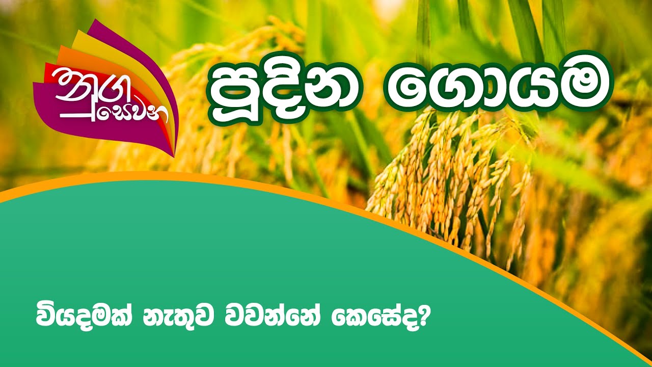 Nugasewana | වියදමක් නැතුව වවන්නේ කෙසේද? | 2021-09-27 | Rupavahini
