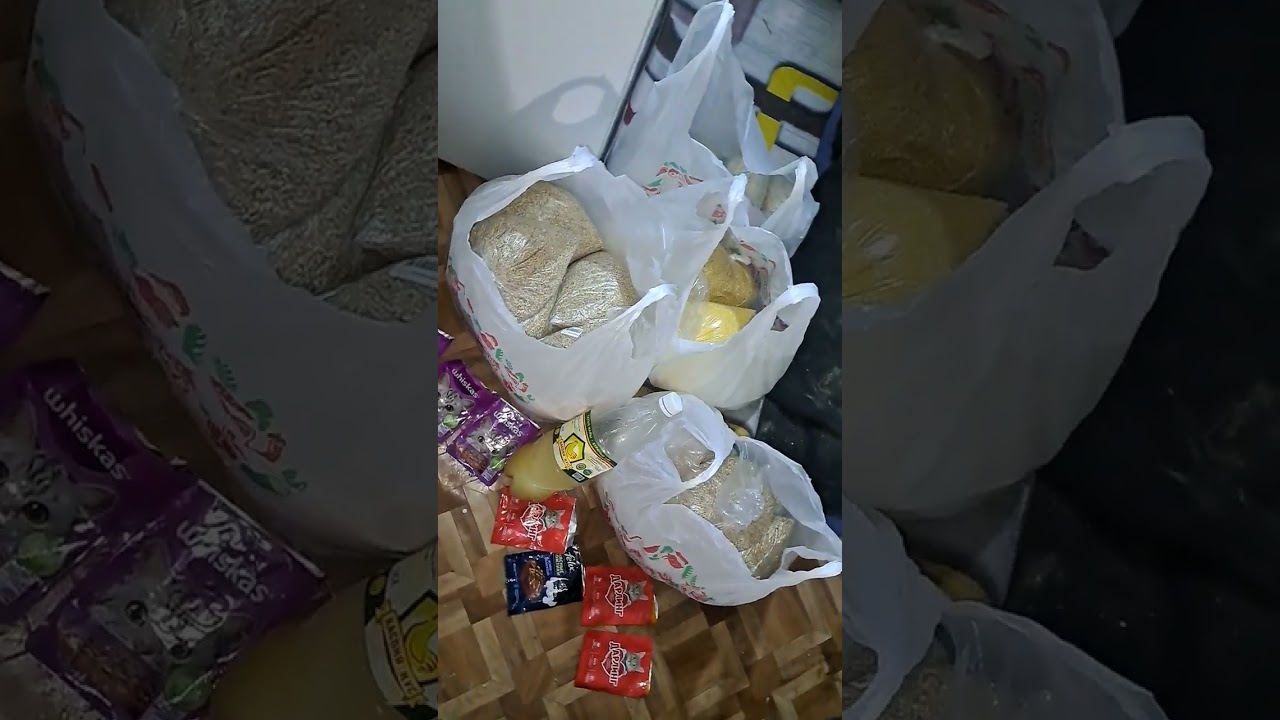 ЗРИТЕЛИ ПОСМОТРИТЕ ПОЖАЛУЙСТА ЭТО КРУПЫ для этих Собачек которые тут живут ПОСМОТРИТЕ на Них Собак 