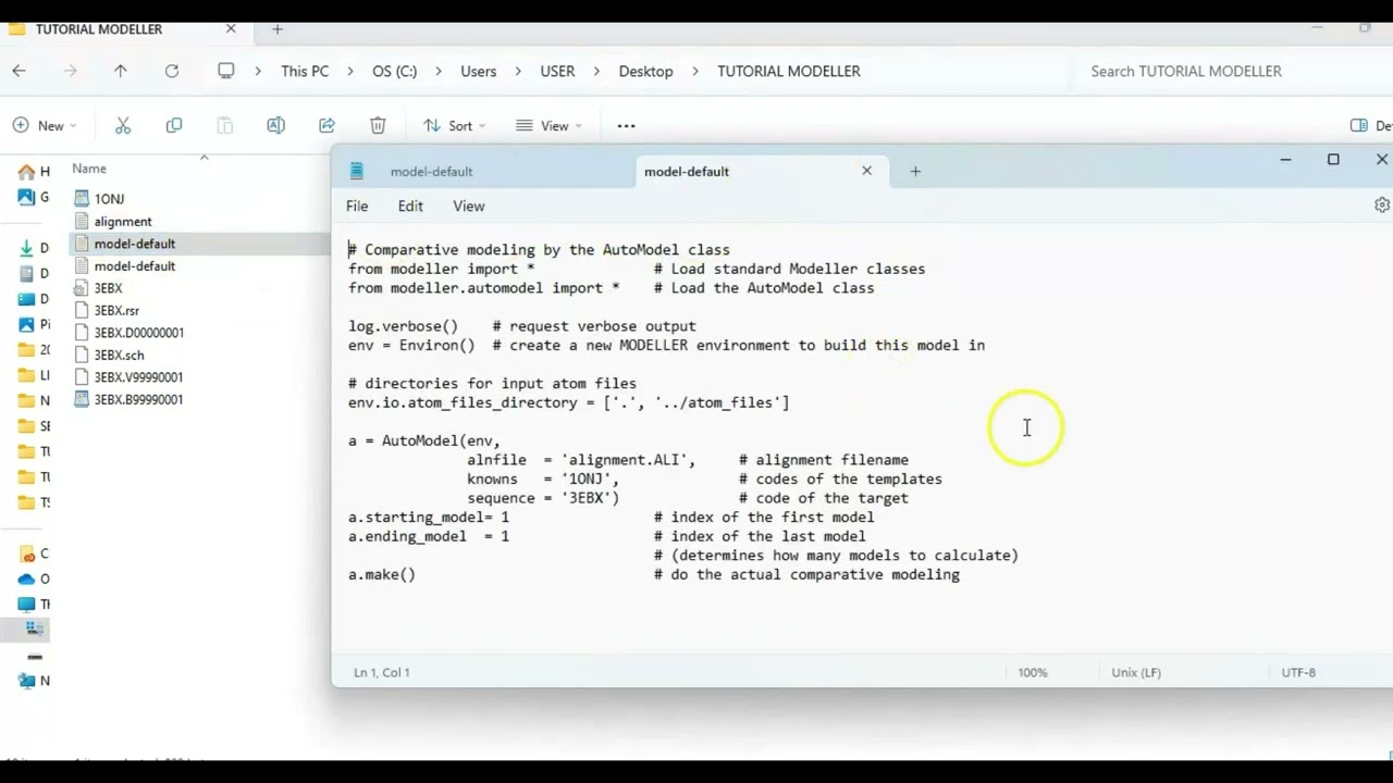 How to Run MODELLER on Windows (using the Command Prompt)