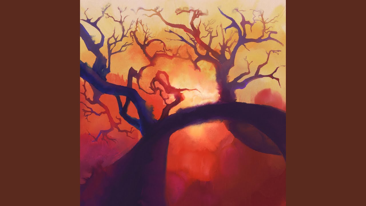 Isolated Experience of Snowflakes