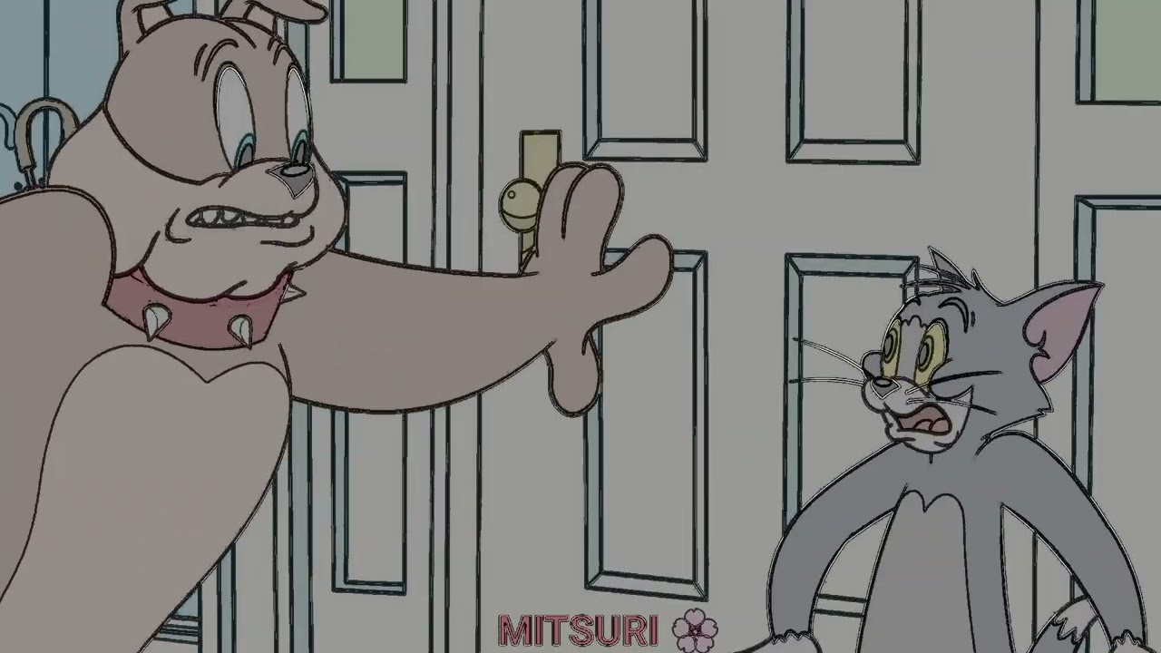 Tom and Jerry #cartoon #tomandjerry 