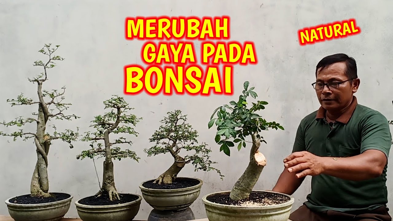 Eksekusi Gaya Bonsai Serut