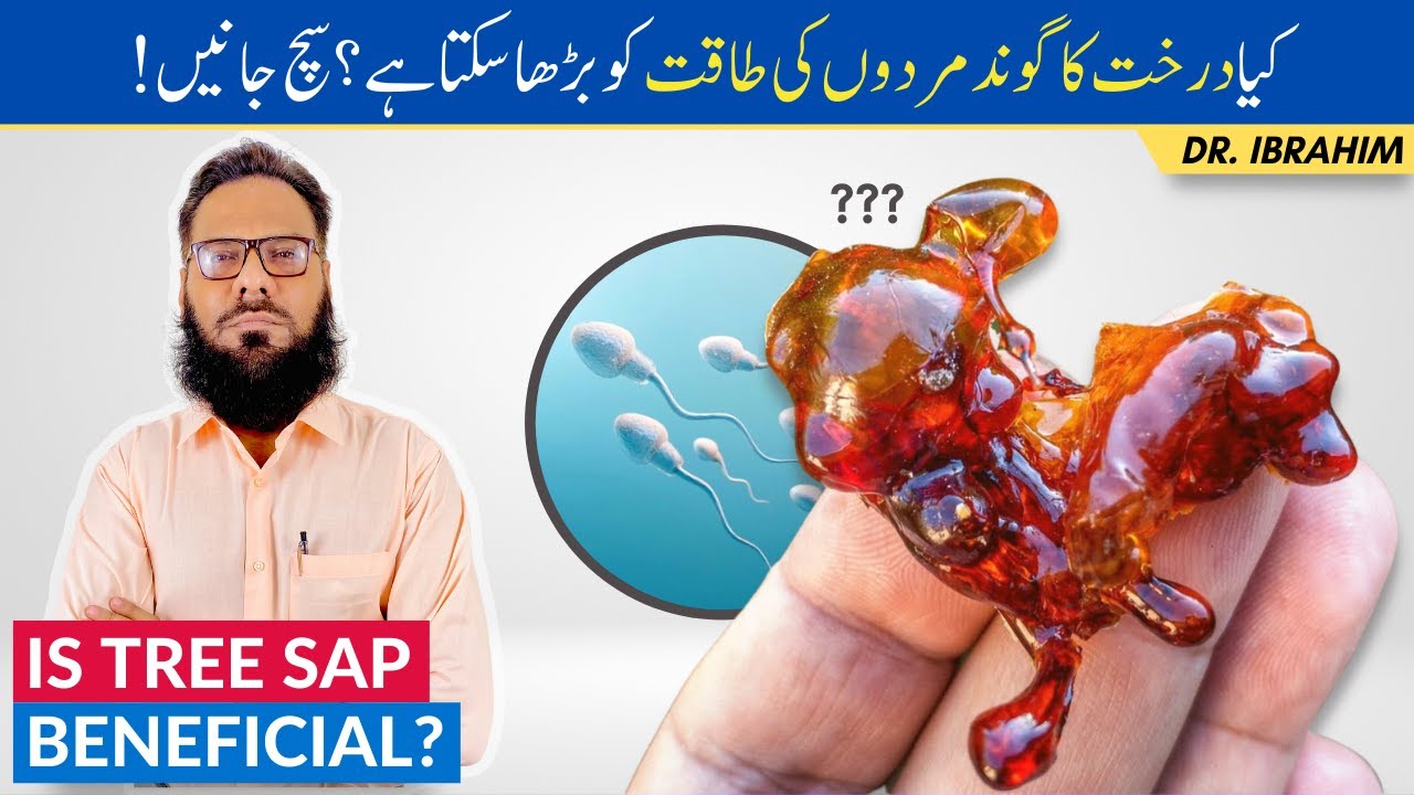 Darakht Ki Gond Ke Fawaid - Tree Sap/Gum's Benefits on Fertility & Bone Health - Urdu/Hindi