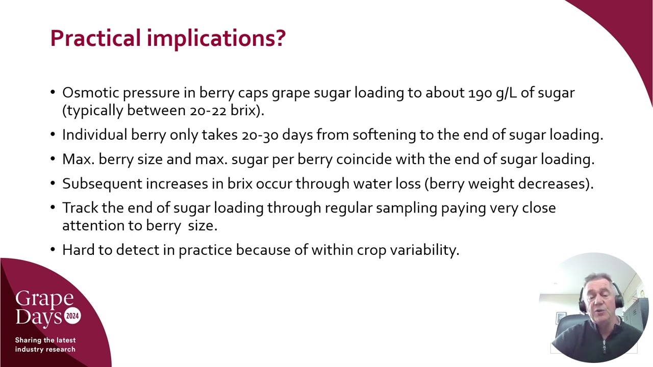 Grape Days 2024 | Grape sugar loading & harvest date implications for red winemaking | Damian Martin