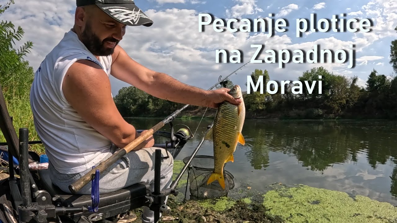Feeder ribolov plotice na Zapadnoj Moravi!