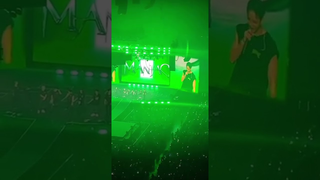STRAY KIDS MANIAC TOUR IN ANAHEIM DAY 1 | ENDING MENT