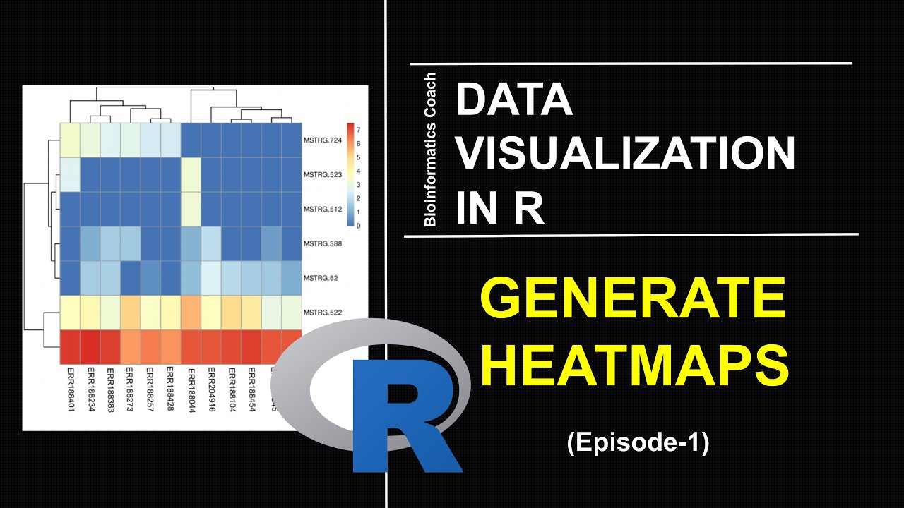 How to Generate Heatmaps using R pheatmap | RNA Seq Gene Expression Analysi | R for Bioinformatics