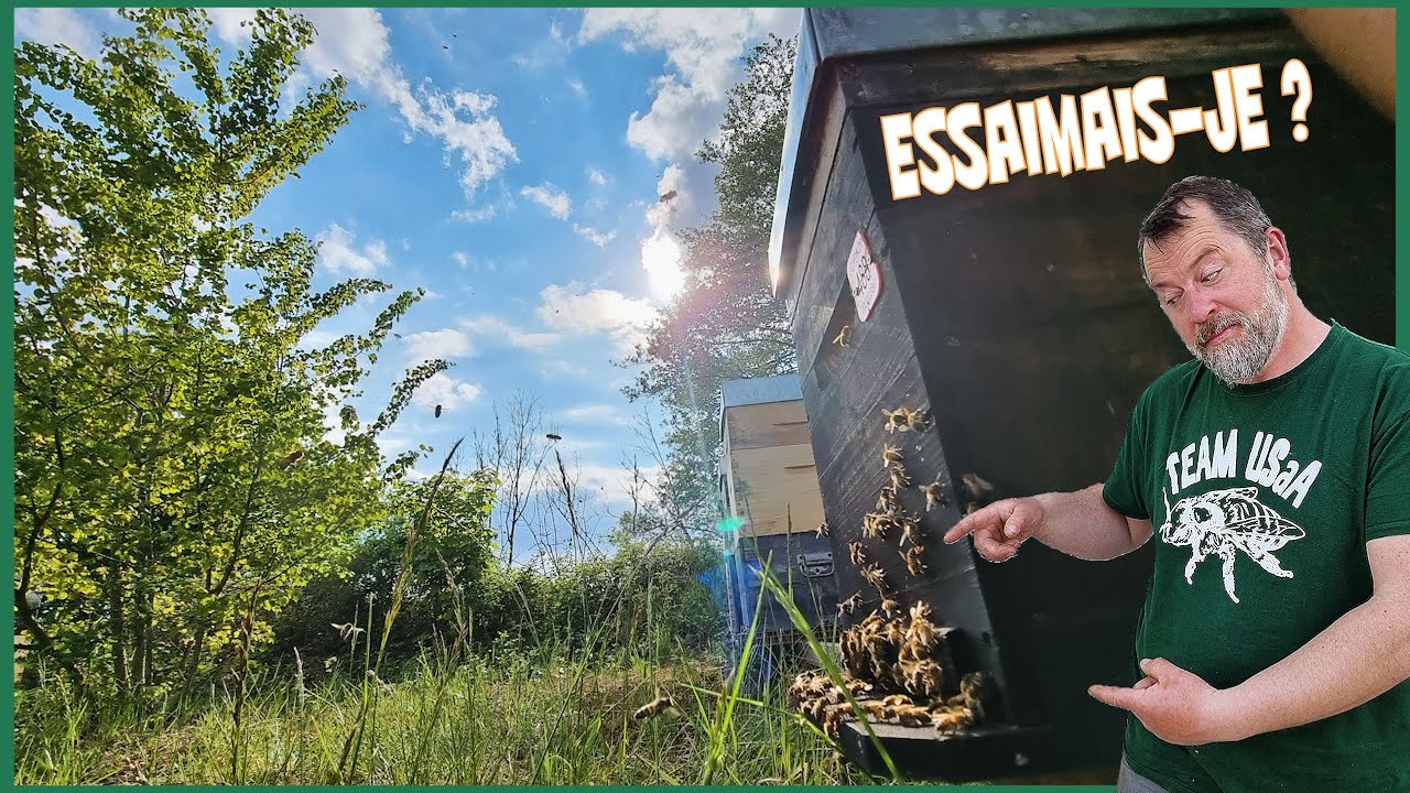 ESSAIMAGE, VITESSE MAXIMOUM !    [S06E16]