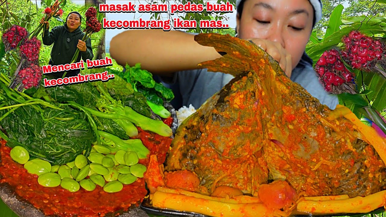 MENCARI BUAH KECOMBRANG ,MASAK ASAM PEDAS IKAN MAS BUAH KECOMBRANG ,SAMPAI NAMBAH 🤤‼️