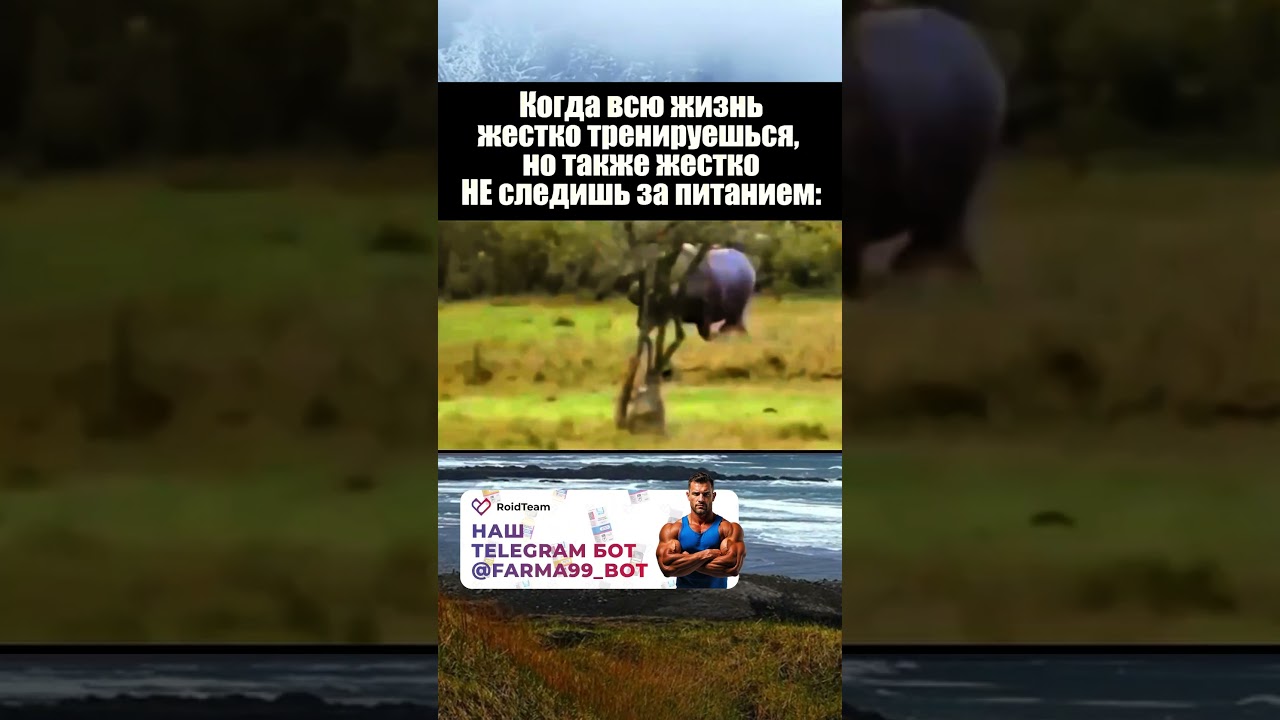 #тренировка #мотивация #тело #тренажерка #gymvideo #muscle #fitspo